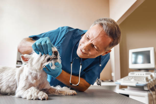 Best After-Hours Emergency Dentist in Sturgis, MI