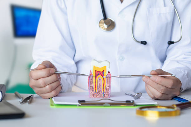 Best Emergency Orthodontic Repairs in Sturgis, MI